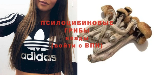 марки lsd Абаза