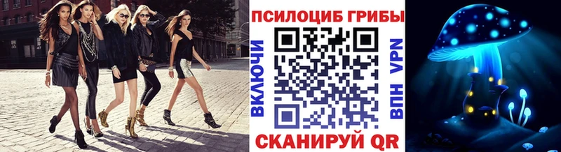 Галлюциногенные грибы Psilocybe цены Нальчик