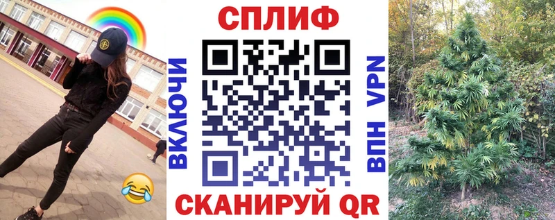 MEGA онион Нальчик Бошки Шишки план